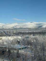 Фото участников, 2026